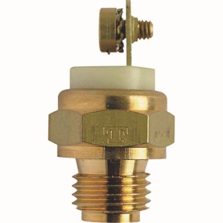 Imagem de Sensor da Temperatura D'água - MTE 3049