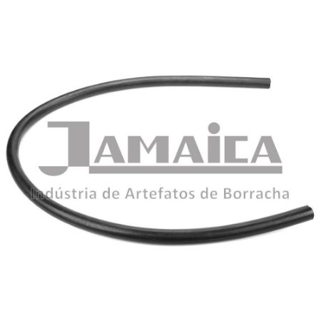 Imagem de Mangueira do Reservatório ao Motor - JAMAICA TR9228