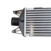 Imagem de Intercooler IVECO DAILY - NOTUS NT11234