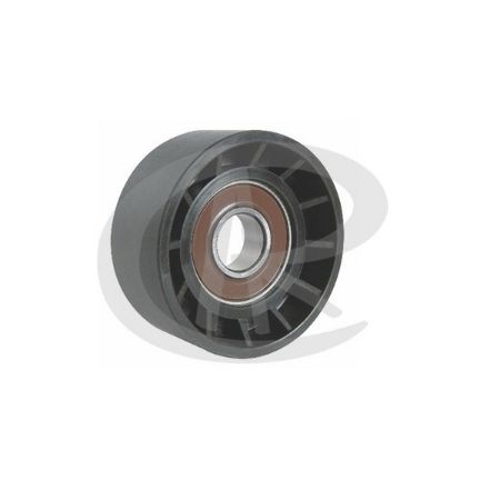 Imagem de Polia do Tensor Alternador FORD TRANSIT - RANALLE R4201