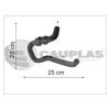 Imagem de Mangueira do Aquecedor PEUGEOT 206/207 - CAUPLAS 9432