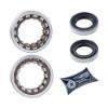 Imagem de Kit Rolamento de Roda Traseira CHEVROLET - GM CHEVY - NOVA META MKT390