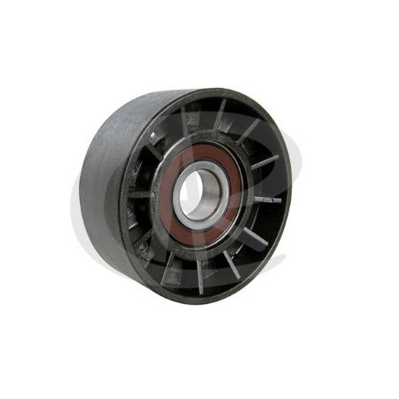 Imagem de Polia do Tensor Alternador FIAT STILO - RANALLE R4451