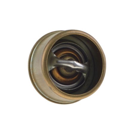 Imagem de Refil da Válvula Termostática - MAGNETI MARELLI MMVT24787K
