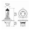 Imagem de Lâmpada H4 70X75W 24V Double Power - HELLA H475X70W24VDP