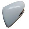 Imagem de Capa de Retrovisor HYUNDAI ELANTRA Lado Esquerdo com Furo para Pisca - HYUNDAI 87616F2000