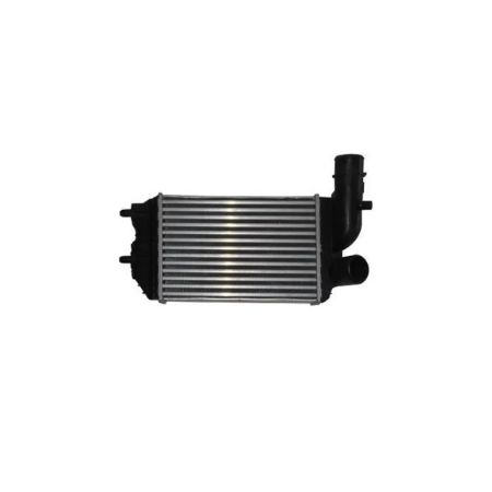 Imagem de Intercooler - NOTUS NT11124