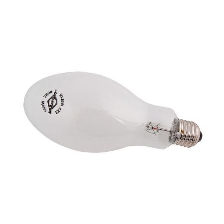 Imagem de Lâmpada Lampada Mista 250W 220V E27 - BRASFORT 8173