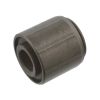 Imagem de Bucha do Alternador - ROCHEPECAS 4031550250