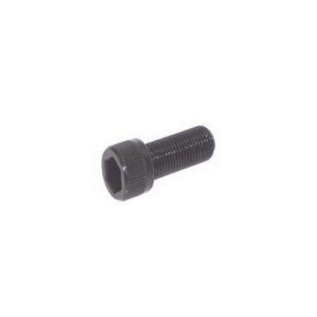 Imagem de Parafuso Allen de Fixação da Pinça de Freio 12X1,25X30mm Ford - ROCHEPECAS NFU800824AA