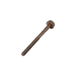 Imagem de Parafuso do Cabeçote 10X115mm - ROCHEPECAS 0099901301