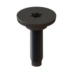 Imagem de Parafuso Torx do Para-choque M6X25 - PLAST CAR PF21