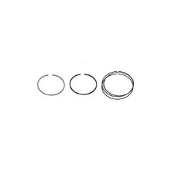 Imagem de Anéis de Pistão (STD) NISSAN MARCH/VERSA - MAHLE/METAL LEVE PR928200
