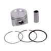 Imagem de Jogo Pistão com Anel (1.00) FORD ECOSPORT/FIESTA Gasolina - KS 40731620