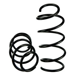 Imagem de Par de Mola de Suspensão Dianteira BMW X1 - NAKATA NKM01004