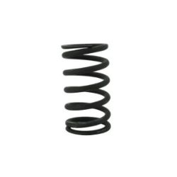 Imagem de Mola da Válvula do Motor FIAT 147/UNO - FIAT 4170469
