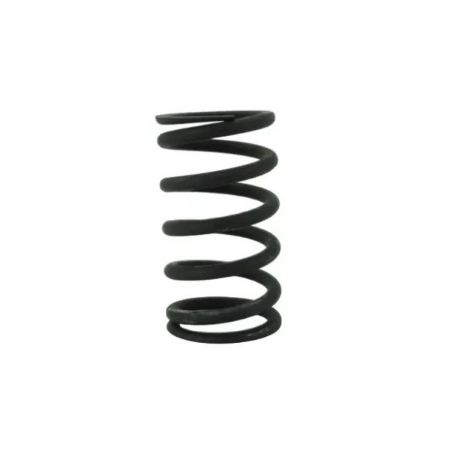 Imagem de Mola da Válvula do Motor FIAT 147/UNO - FIAT 4170469