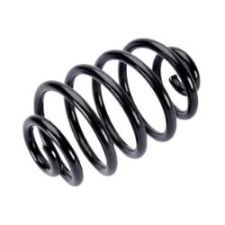 Imagem de Par de Mola de Suspensão Traseira RENAULT CLIO/SYMBOL - RENAULT 8200844169