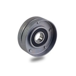 Imagem de Polia do Tensor Alternador - INA 5320809100