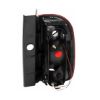 Imagem de Lanterna Traseira RENAULT DUSTER Lado Direito - RTECH RTC1607