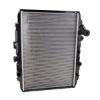 Imagem de Radiador de Água Manual sem Ar-condicionado - RTECH RTC8139