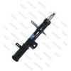 Imagem de Amortecedor Dianteiro Lado Direito - NAKATA HG41201