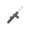 Imagem de Amortecedor Dianteiro PEUGEOT 207/207 SW Lado Direito - NAKATA HG33057