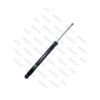 Imagem de Amortecedor Traseiro JAC T40 - NAKATA HG41457