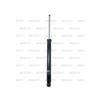 Imagem de Amortecedor Traseiro JAC T40 - NAKATA HG41457