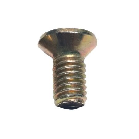 Imagem de Parafuso do Disco Freio (Philips) - DINPAR 11340