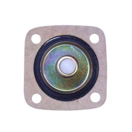 Imagem de Diafragma do Carburador - MAGNETI MARELLI 40362502