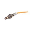 Imagem de Sonda Lambda - YMAX 552379