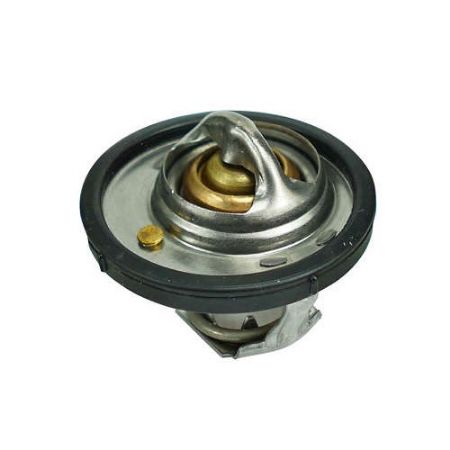Imagem de Refil da Válvula Termostática - MAGNETI MARELLI MMVT46382K