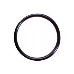 Imagem de Anel de Vedação do Bico Injetor LAND ROVER DISCOVERY/RANGE ROVER - IMPORTADO RYL0481