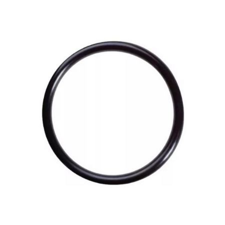 Imagem de Anel de Vedação do Bico Injetor LAND ROVER DISCOVERY/RANGE ROVER - IMPORTADO RYL0481