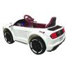 Imagem de Mini Carro Elétrico - IMPORTWAY BW240BR