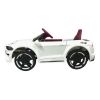 Imagem de Mini Carro Elétrico - IMPORTWAY BW240BR