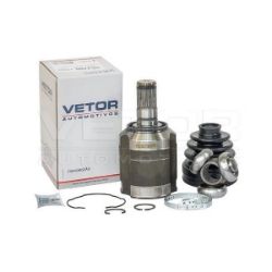 Imagem de Tulipa Vetor Vt5695 - VETOR VT5695