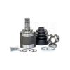 Imagem de Tulipa Vt5944 - VETOR VT5944