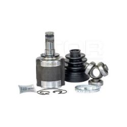 Imagem de Tulipa Vt5944 - VETOR VT5944