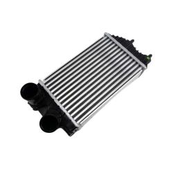 Imagem de Intercooler - FRONTIER 74540