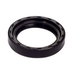 Imagem de Retentor do Cubo de Roda Traseiro - SABO 01095BRG
