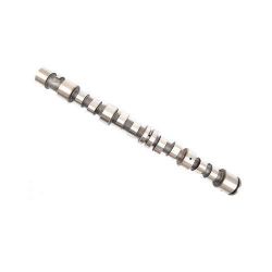 Imagem de Comando de Válvulas - MAHLE/METAL LEVE EV0140065