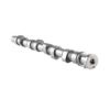Imagem de Comando de Válvulas Admissão e Escape - MAHLE/METAL LEVE EV0590055