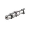 Imagem de Comando de Válvulas Admissão e Escape - MAHLE/METAL LEVE EV0590055