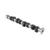 Imagem de Comando de Válvulas - MAHLE/METAL LEVE EV0700037