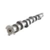 Imagem de Comando de Válvulas - MAHLE/METAL LEVE EV0700040