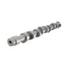 Imagem de Comando de Válvulas - MAHLE/METAL LEVE EV0700040