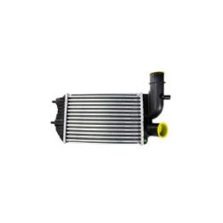 Imagem de Intercooler - REACH 6111124