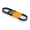 Imagem de Correia do Alternador - CONTITECH / CONTINENTAL AVX13X1825